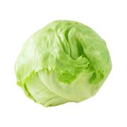 Laitue iceberg biologique