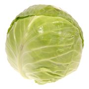 Chou vert biologique