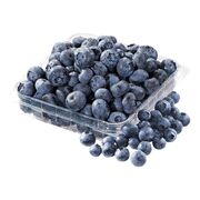 Bleuets biologiques