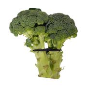 Brocoli biologique