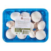 Champignons blancs biologiques
