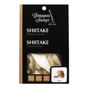 Champignons shiitake
