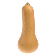 Courge musquée biologique