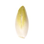 Endive