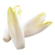 Endive