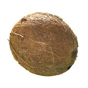 Noix de coco