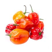 Piment habanero