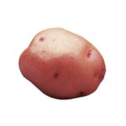 Pomme de terre rouge