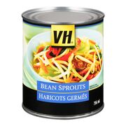 Haricots germés
