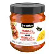 Sauce salsa à la mangue et piment poblano