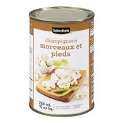 Morceaux et pieds de champignons