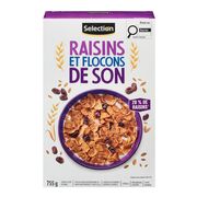 Céréales de flocons de son avec raisins secs