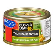 Thon pâle entier dans l'huile d'olive