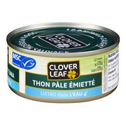Thon pâle émietté dans l'eau