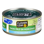 Thon pâle en morceaux dans l'eau