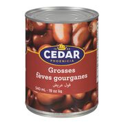 Grosses fèves gourganes