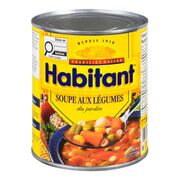 Soupe aux légumes du jardin prête-à-servir