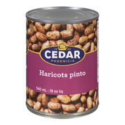 Haricots pinto