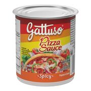 Sauce à pizza épicée
