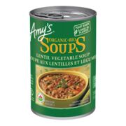 Soupe aux lentilles et légume prête à servir