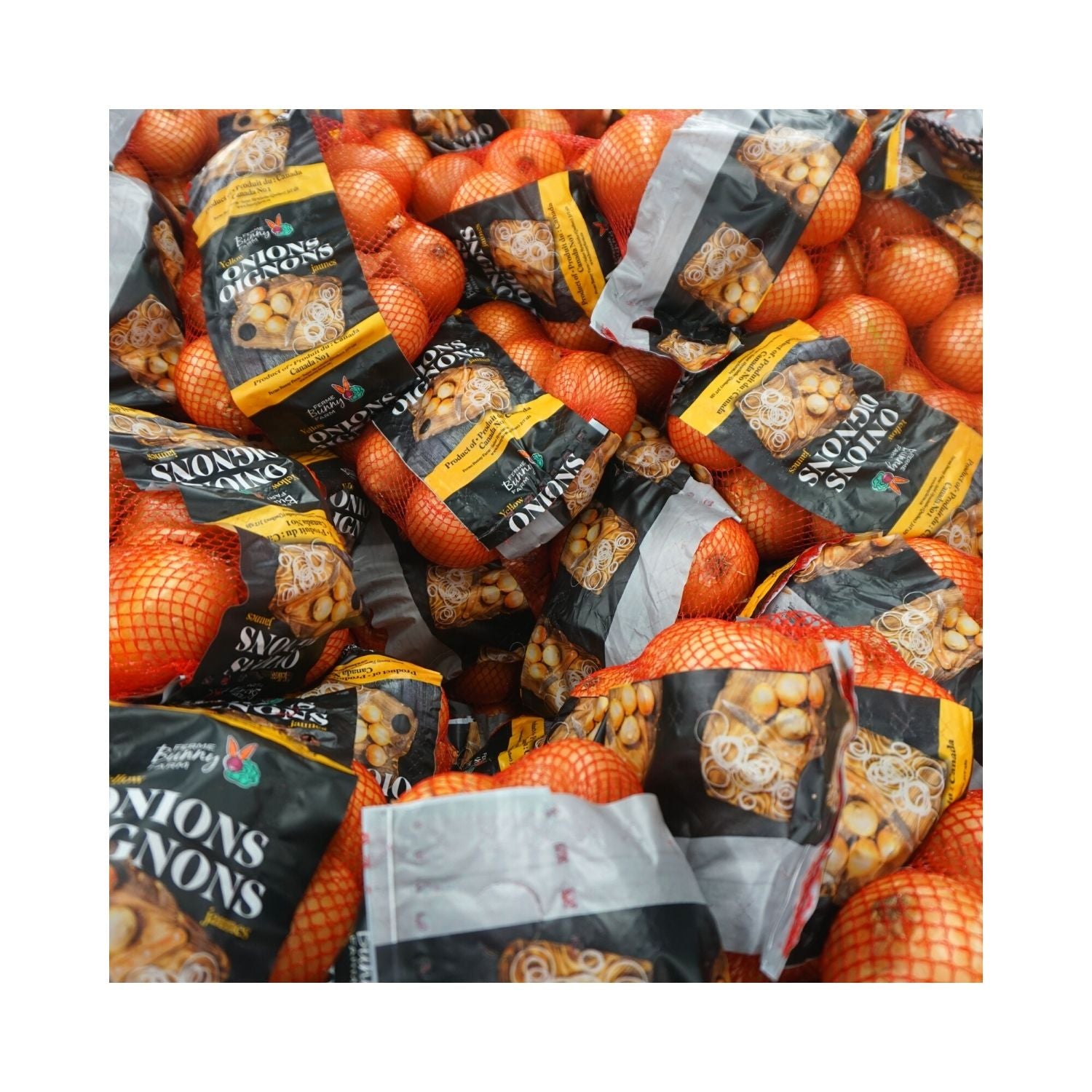 OIGNONS