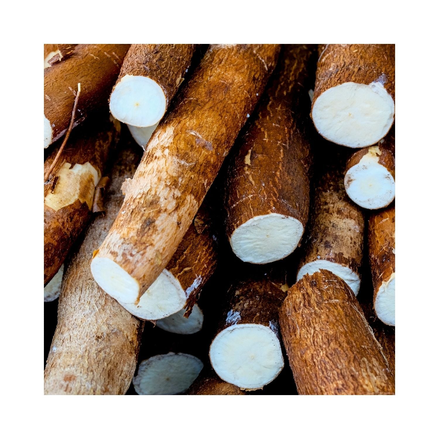 YUCA