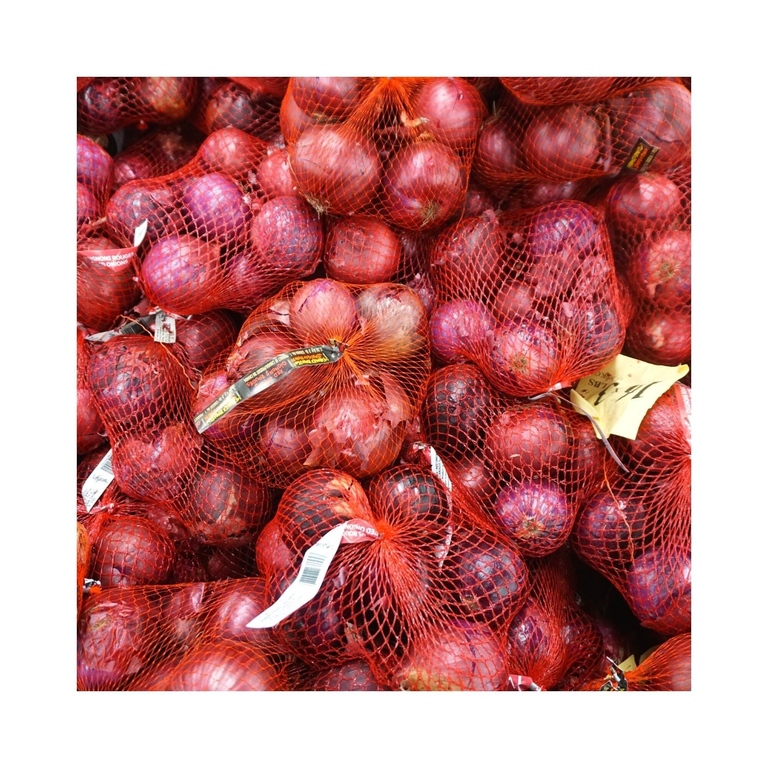 OIGNONS ROUGE