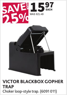BLACKBOX GOPHER TRAP