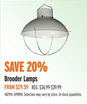 Brooder Lamps