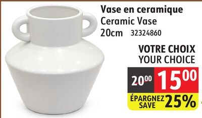 Ceramic Vase 20cm