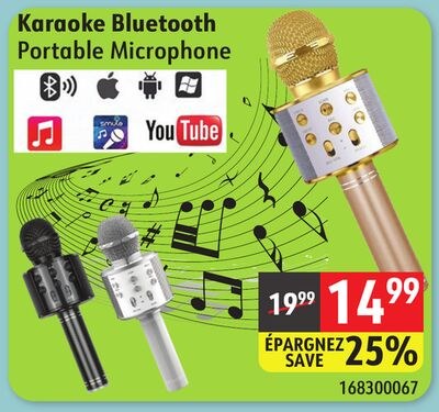 Portable Microphone