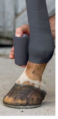 WESTERN RAWHIDE Axis Support Bandage