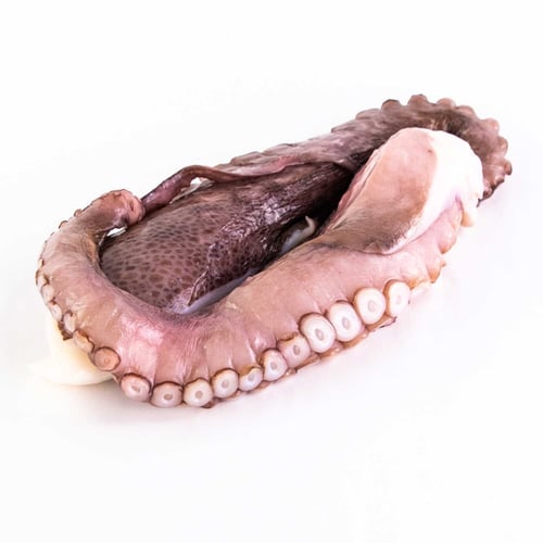 Pattes de pieuvre