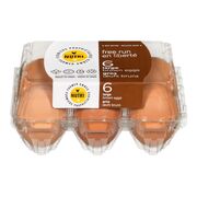 Gros oeufs bruns de poules en liberté
