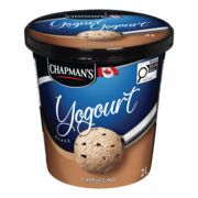 Yogourt glacé à saveur de cappuccino
