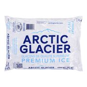 Sac de glace