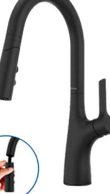«Ceylon» pull-down kitchen faucet