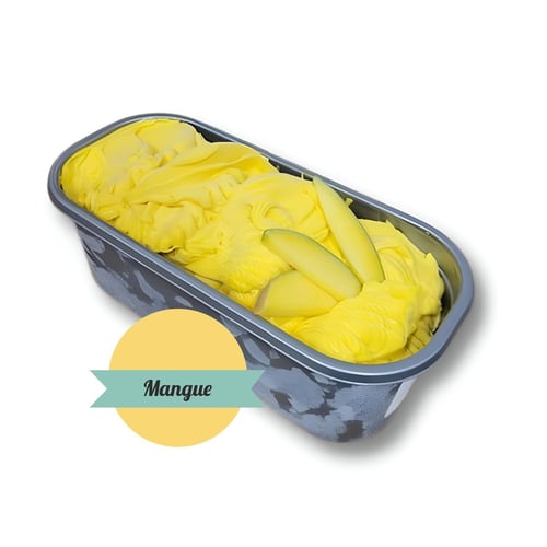 Sorbet mangue en panne 5 L