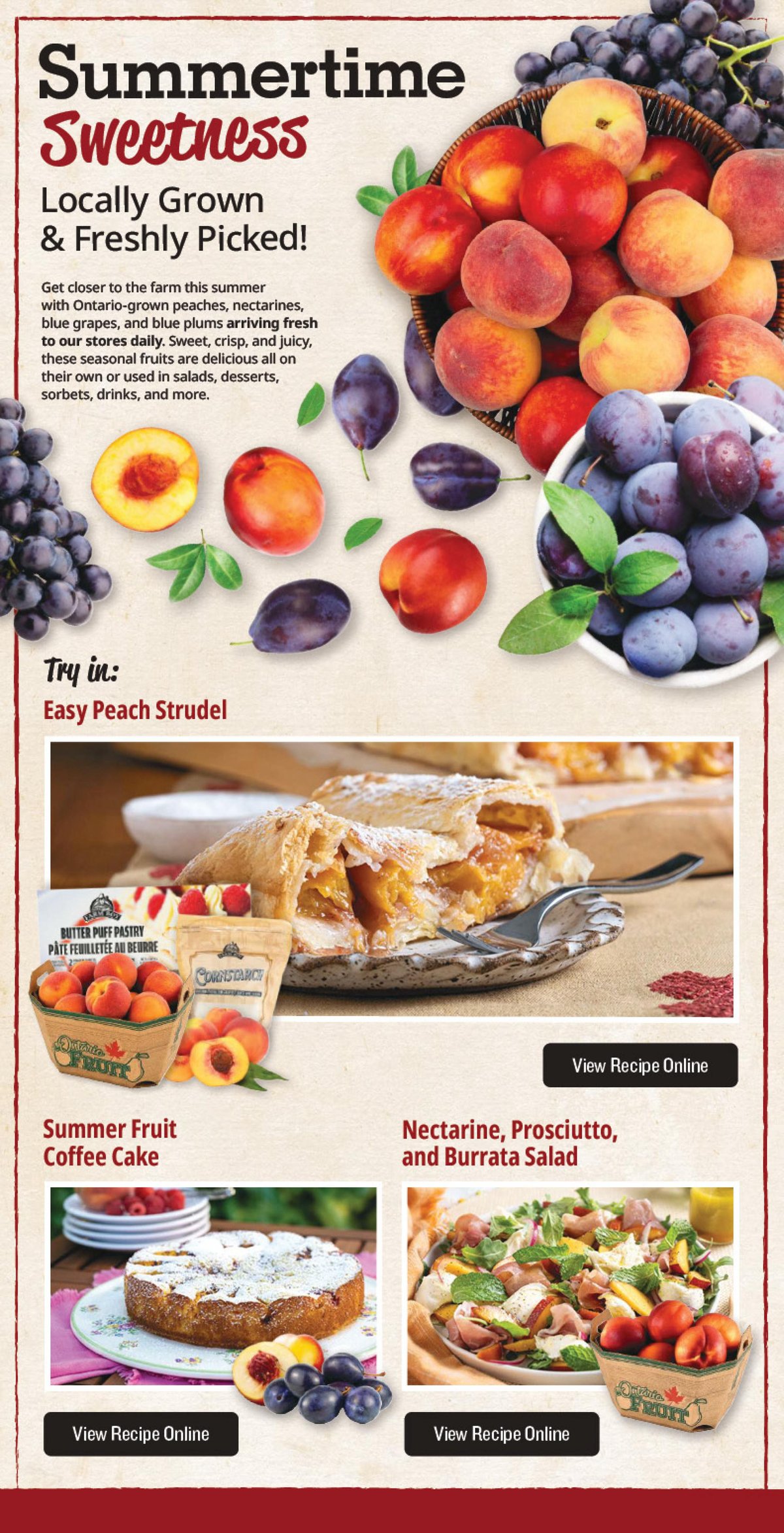Farmboy Markets Ltd — page 7/10