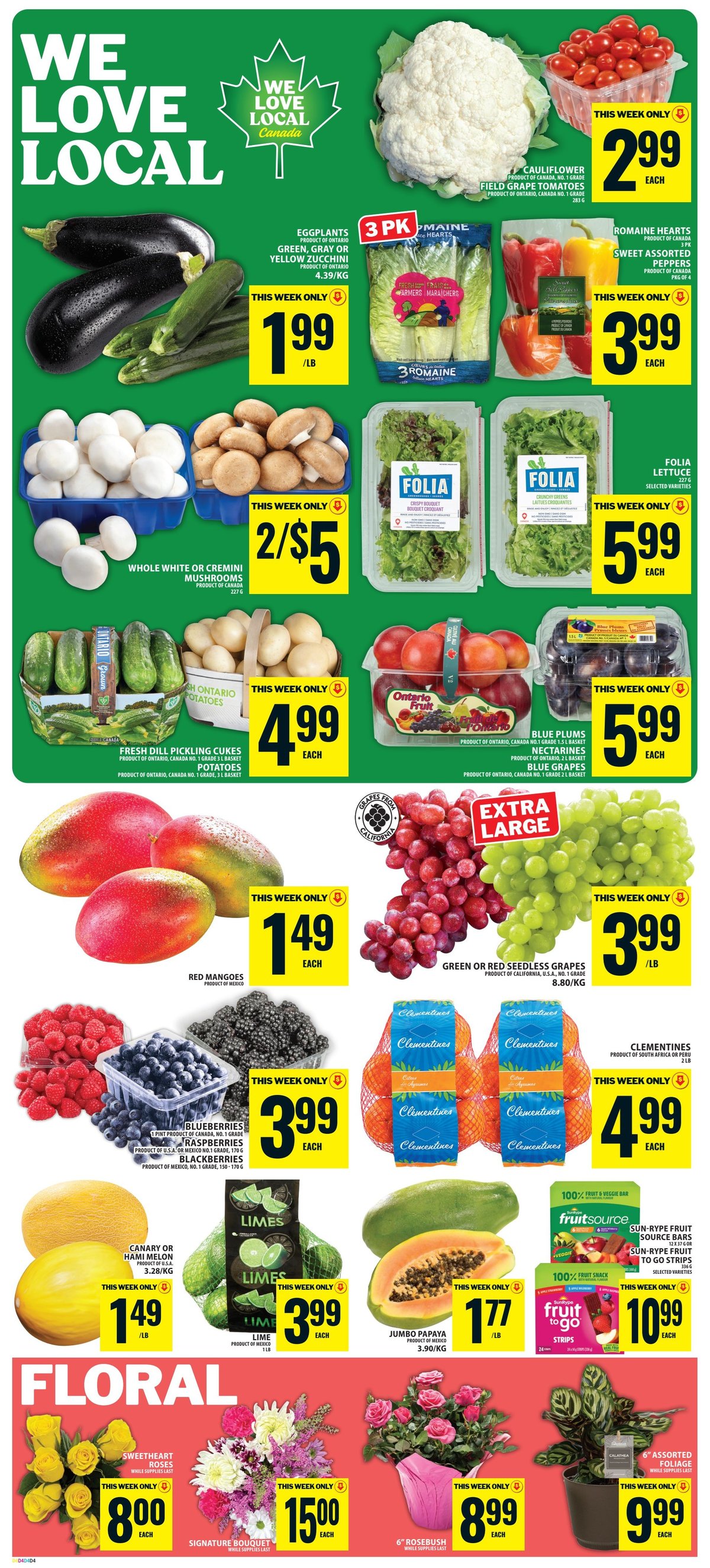 Food Basics — page 3/15