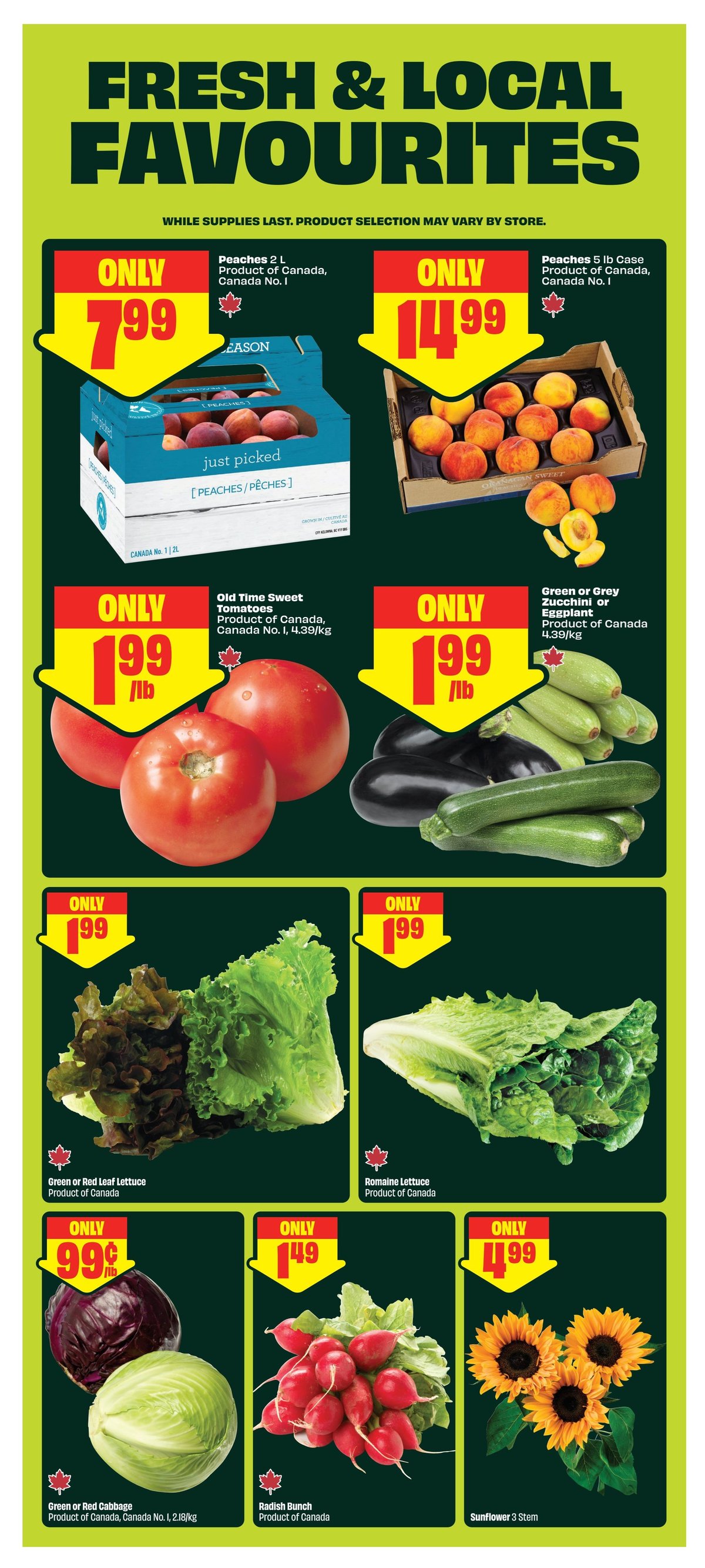 FreshCo — page 5/11