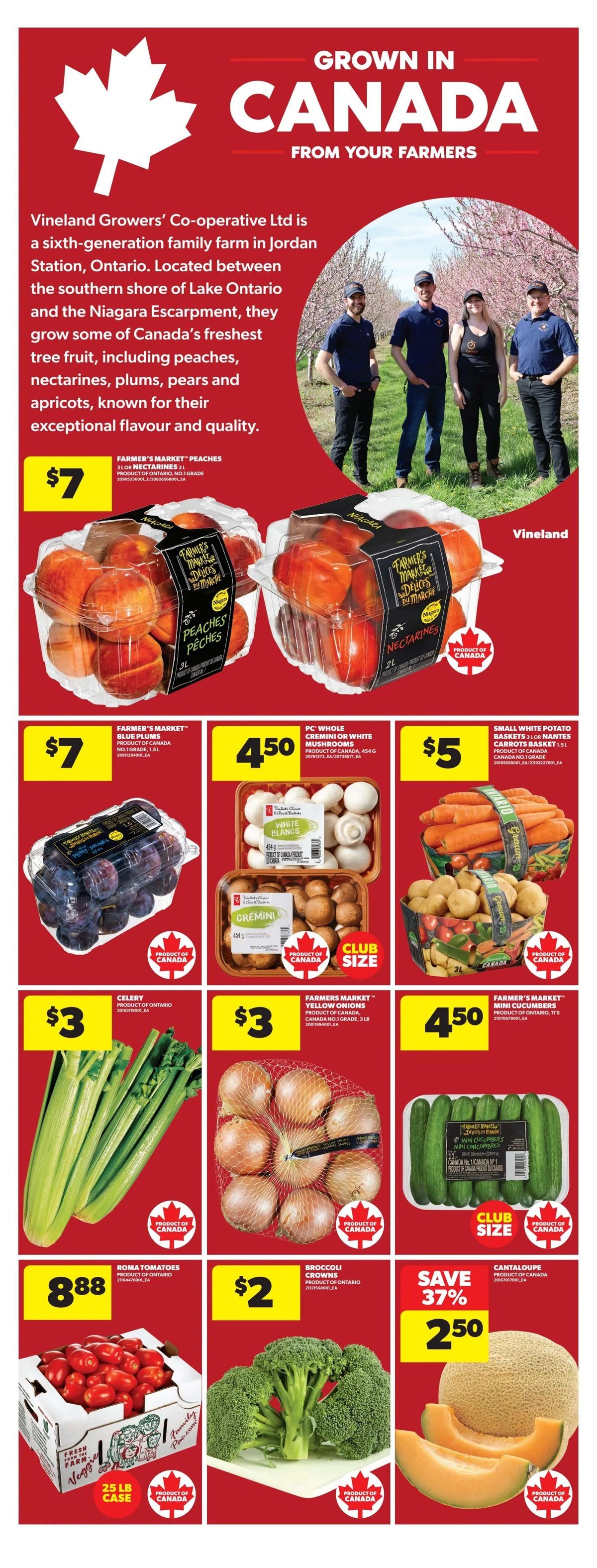 Real Canadian Superstore — page 14/44