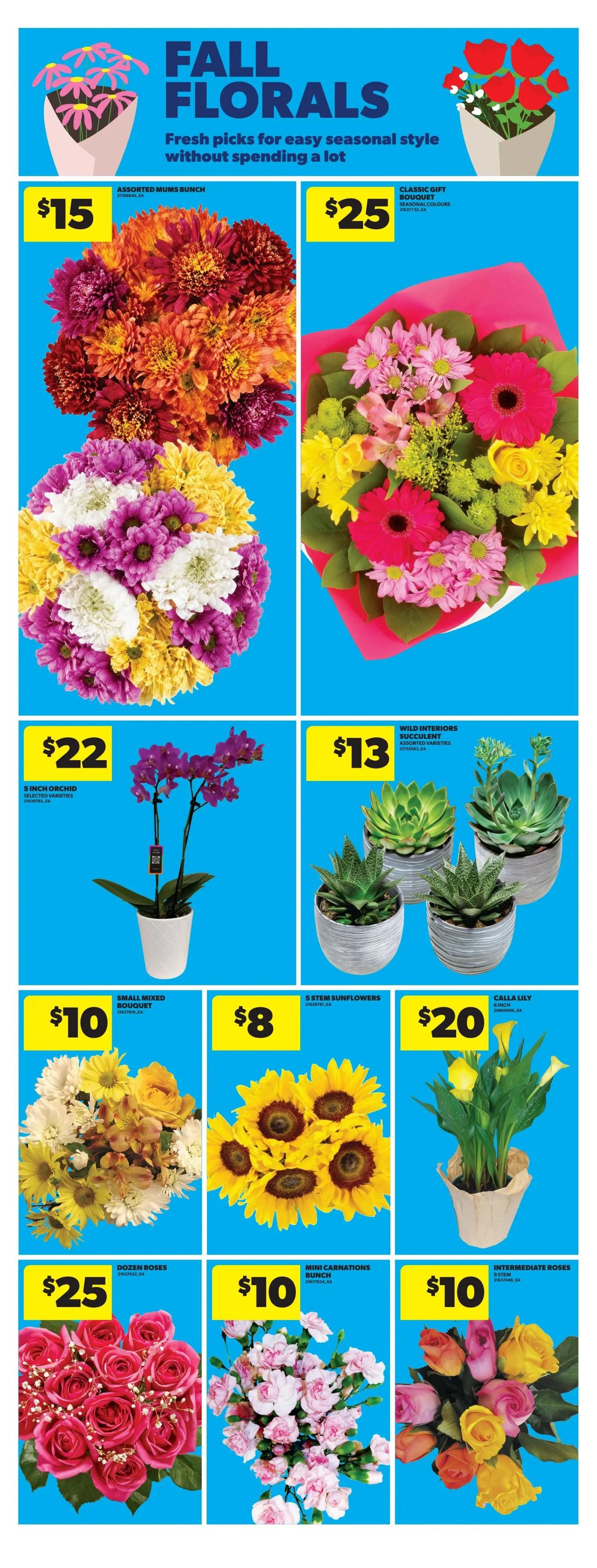 Real Canadian Superstore — page 16/44