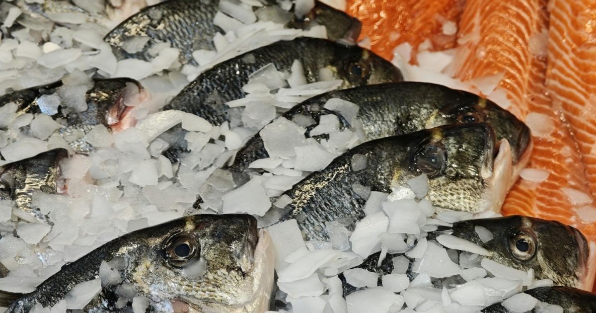Viande et poisson en rabais au Québec : comment reconnaître une vraie aubaine