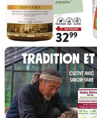 Hydne Hérisson New Roots Herbal