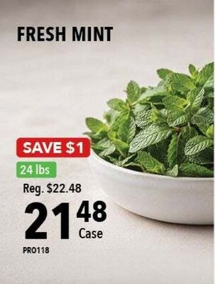 FRESH MINT