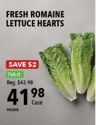 FRESH ROMAINE LETTUCE HEARTS