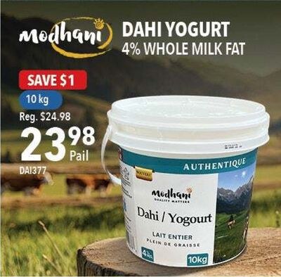 DAHI YOGURT