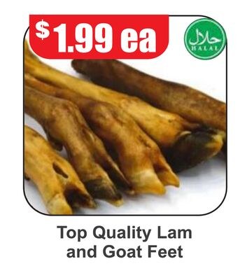 Top Quality Lam and Goat Feet