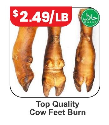 Top Quality Cow Feet Burn